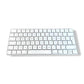 Apple Wireless Keyboard A1644 | Kabellos | Bluetooth | QWERTZ